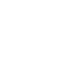 Anthropology Skeleton Human