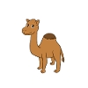 camel