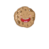Cookie the delicious biscuit