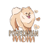 Pomeranian Mom - Zwergspitz Kleinspitz Mistress