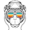 Music monkey