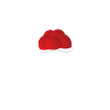 bollenhut ekg