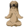 Meditate Briard Dog