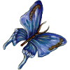 blue butterfly