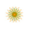 the sun