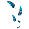 Blue Feathers