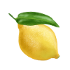 Lemon Life