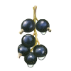 Blackcurrant Life