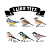 Morsom fugletitting Gave til Birder
