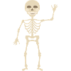 skeleton