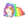 Meerschweinchen Regenbogen Bunt