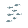 Fische blau 2,Meer,angeln,Design,Geschenk,cool,