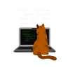 comp cat