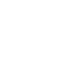 Dinosaur bones dinosaur