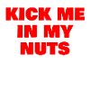 Kick me in my nuts