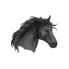 Cheval