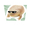 It Is Wednesday My Dudes. Memes