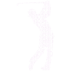 Golfeur golfeur