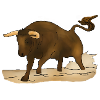Stier, Bulle