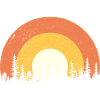 Sunset forest