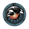 Orca killer whale