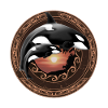 Orca killer whale