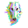 Farbiger Barsoi Hund