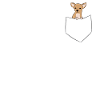 Cute Chihuahua Dog In Pocket Funny Chihuahua