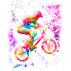 BMX Cycling - BMX Riders - BMX