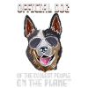 Australian Cattle Dog