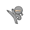 Ninja Kick