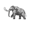 Mammoth