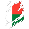Madagascar flag torn motif