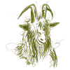 goat (green)