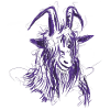 buck (purple)