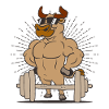 Gym fitness bull