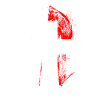 Swiss Warrior