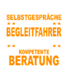 BF3 Fahrer Begleitfahrzeugfahrer Begleitfahrer