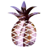 Ananas palmiers loisirs été
