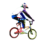 bmx