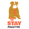 Dog Stay Pawsitive Fun gift