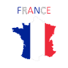 France flag - art design
