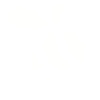 Bee, bumblebee.