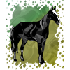 Cheval
