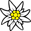 Edelweiss