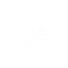 Modellflug Test Pilot