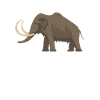 Mammoth