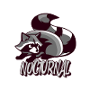 Raccoon Nocturnal Animal Gift