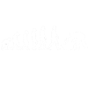 Evolution of man