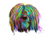 Farbiger Briard Hund
